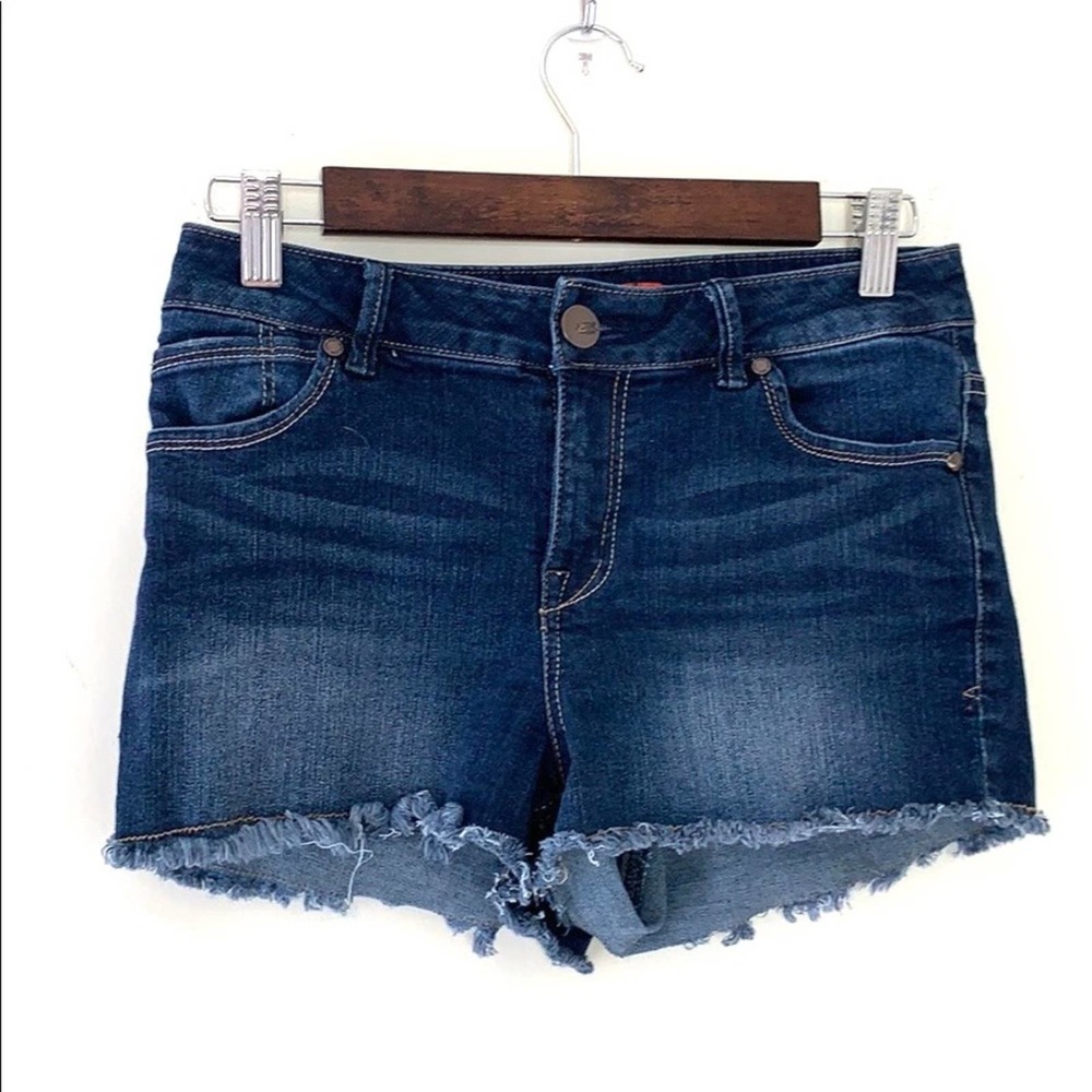 Astor Raw Hem Jean Shorts